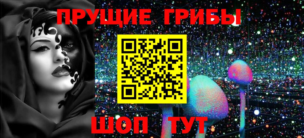 Псилоцибиновые грибы Psilocybine cubensis Белорецк