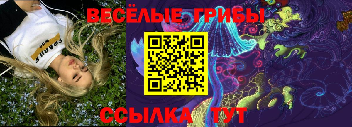 Псилоцибиновые грибы Psilocybine cubensis  Псилоцибиновые грибы мицелий  Белорецк  Вход с VPN 